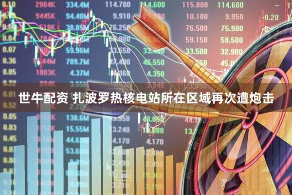 世牛配资 扎波罗热核电站所在区域再次遭炮击