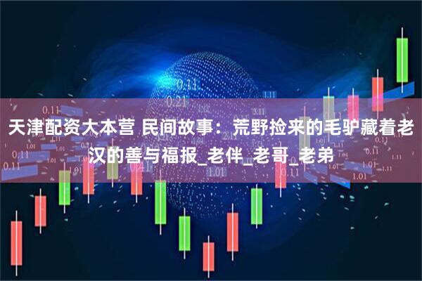 天津配资大本营 民间故事：荒野捡来的毛驴藏着老汉的善与福报_老伴_老哥_老弟
