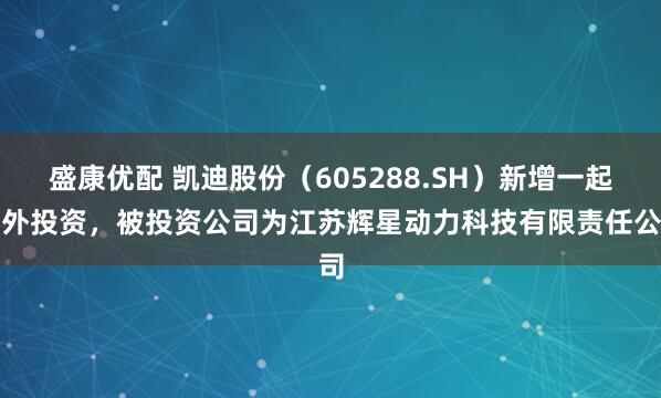 盛康优配 凯迪股份（605288.SH）新增一起对外投资，被投资公司为江苏辉星动力科技有限责任公司